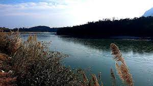 वन्यजीव समिति ने लद्दाख, अरुणाचल में 13 रक्षा, अर्धसैनिक परियोजनाओं को मंजूरी दी