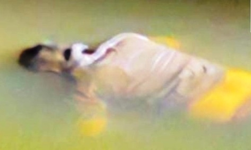 अरपा नदी में तैरता मिला हाईकोर्ट अधिवक्ता का शव, पुल पर खड़ी मिली थी बाइक