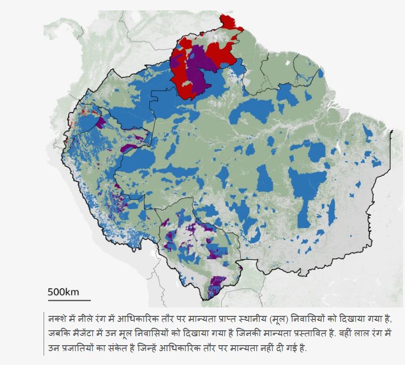 अमेजन के जंगल धीरे-धीरे मर रहे हैं,  क्यों है दुनिया के लिए खतरे की घंटी