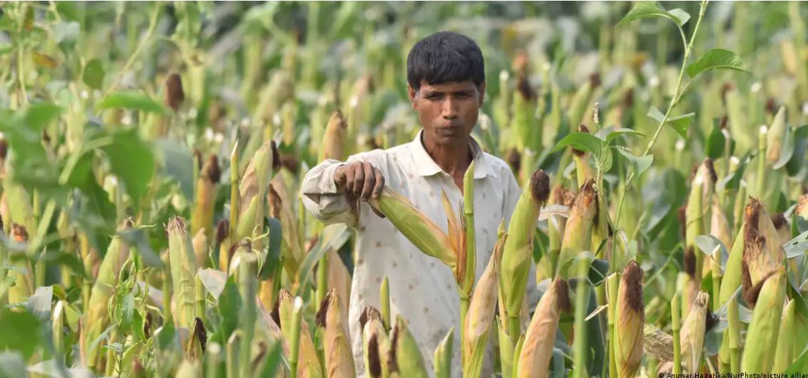 भारत में यूरिया की मांग बढ़ी, घरेलू उत्पादन पीछे छूटा