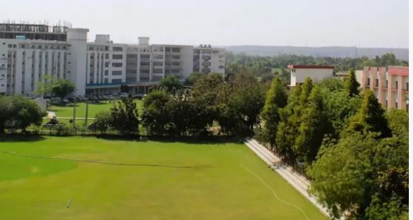 अल फ़लाह यूनिवर्सिटी: दिल्ली ब्लास्ट के बाद चर्चा में आए इस संस्थान को चलाता कौन है?