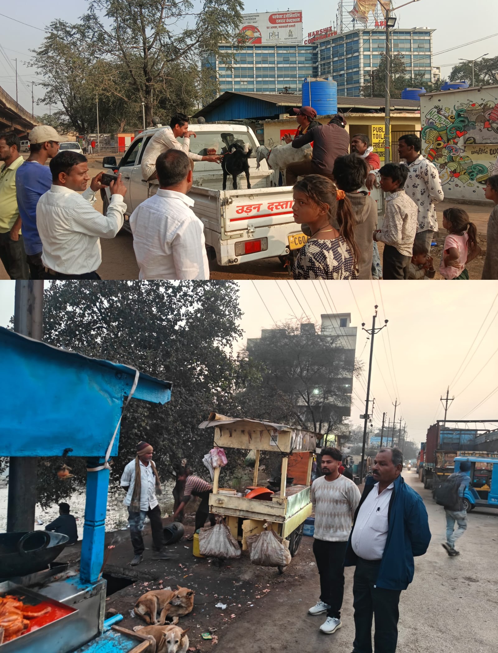 शौचालय में बंधी बकरियां जब्त, अवैध पाटे तोड़े