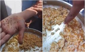 कर्नाटक: मिड डे मील में कीड़े मिलने के वीडियो पर डिप्टी कमिश्नर ने क्या बताया?