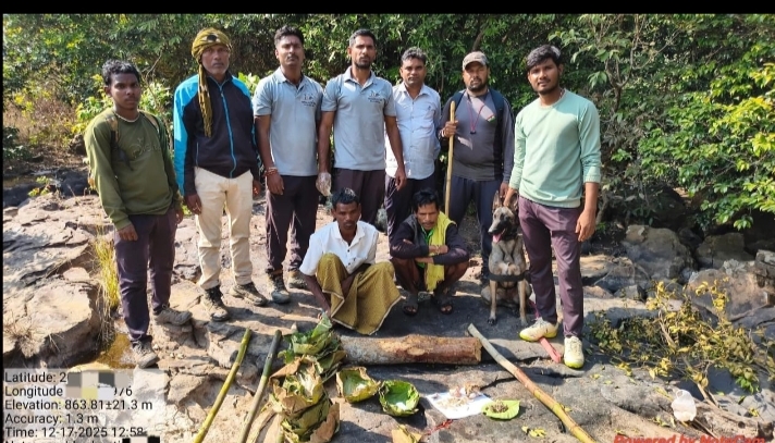  उदंती-सीतानदी टाइगर रिजर्व में सांभर का शिकार, 12 गिरफ्तार, फरार आरोपियों की तलाश
