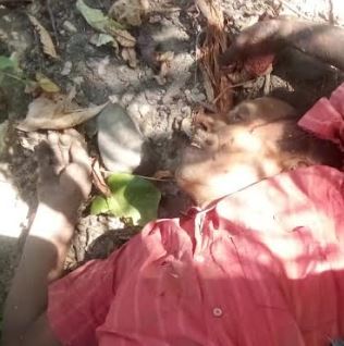 हाथी के हमले से ग्रामीण की मौत