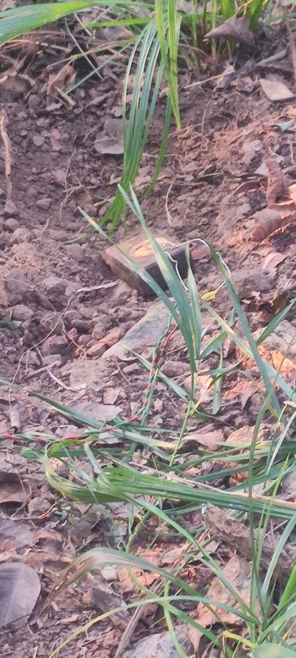 दो बम बरामद कर किया निष्क्रिय