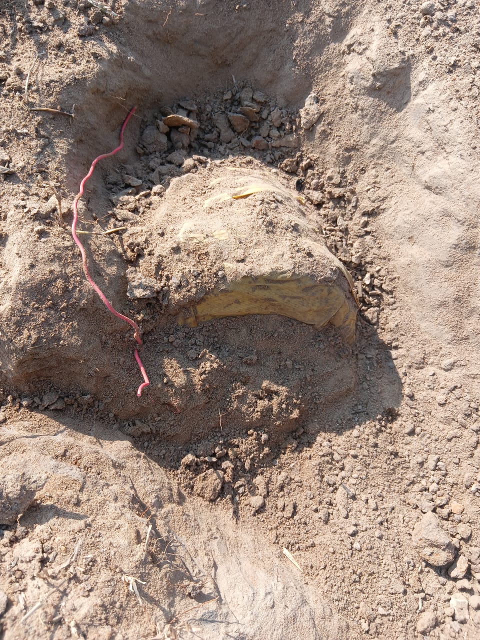 10 किलो का बम बरामद