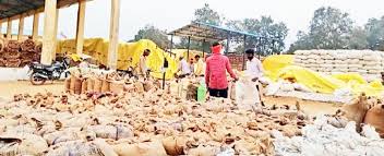  किसानों को राहत दिलाने की पहल, धान खरीदी की खामियों पर प्रवीण दुबे का हस्तक्षेप