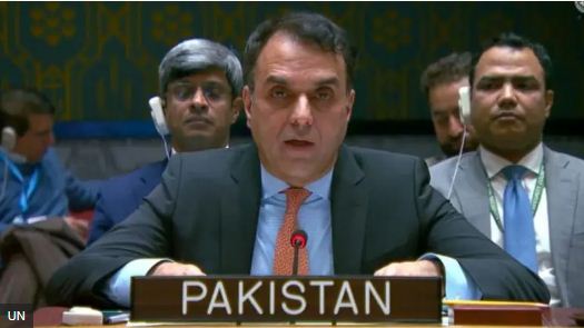 वेनेज़ुएला की स्थिति पर पाकिस्तान ने संयुक्त राष्ट्र सुरक्षा परिषद में क्या कहा?