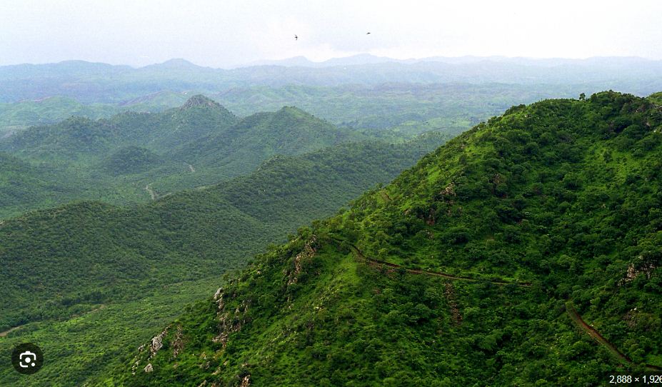 अरावली के पुनर्जीवन की वैज्ञानिक रूपरेखा पेश, 20% जल स्रोत खत्म होने की चेतावनी