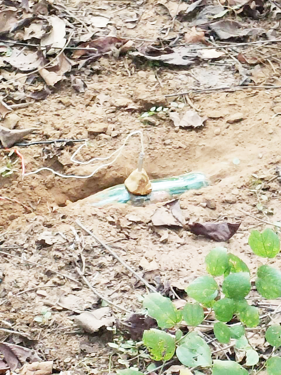 24 किलो के चार बम मिले, किया निष्क्रिय