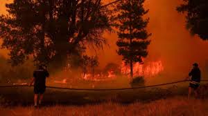 चिली में जंगल की आग से 18 की मौत, हजारों लोग घर छोड़ने को मजबूर