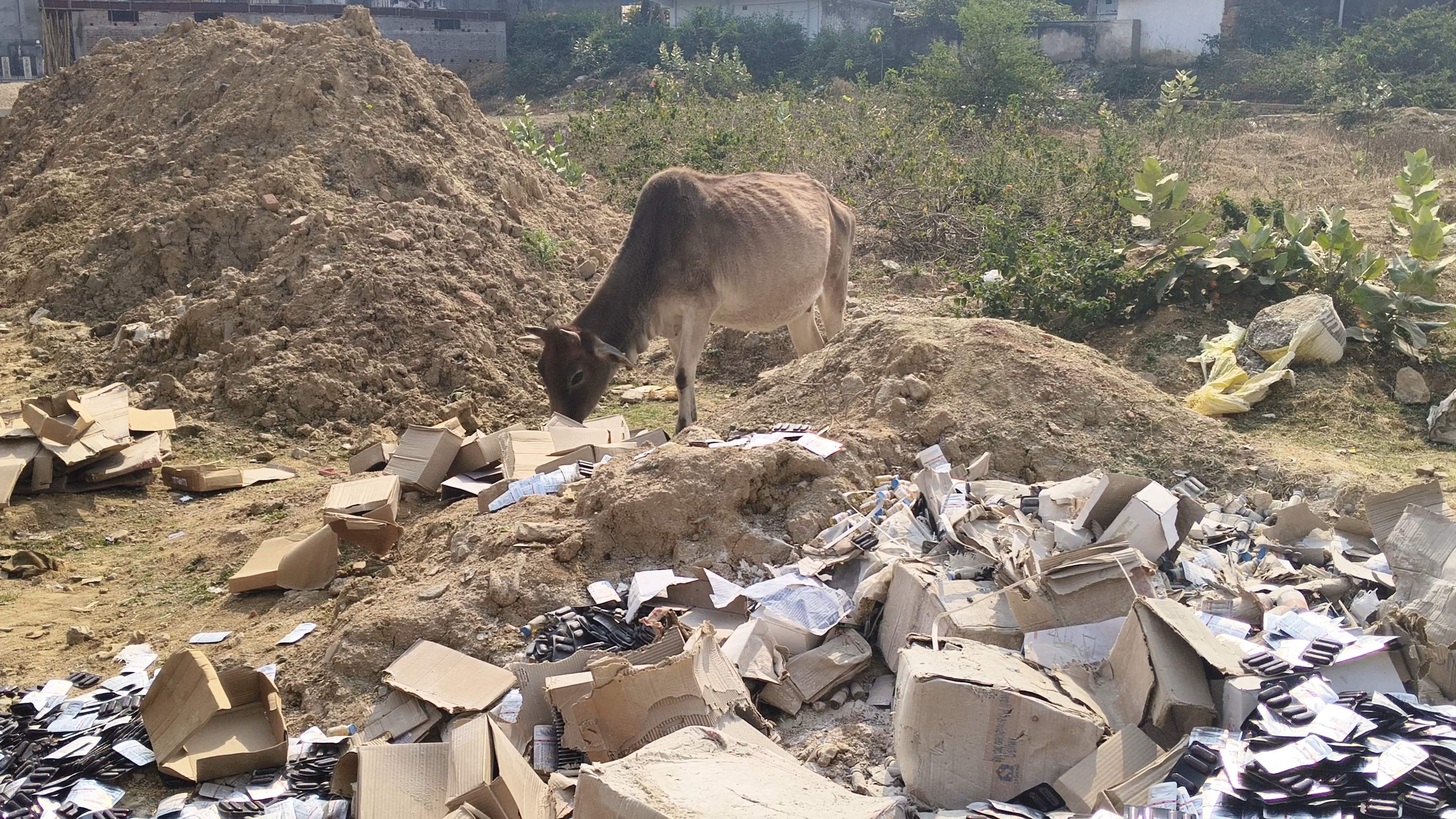 खुले में मिली पशु विभाग की दवाइयां, जांच की मांग