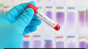 निपाह वायरस का खतरा: कोलकाता के अलीपुर चिड़ियाघर में चमगादड़ों की आरटी-पीसीआर जांच