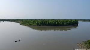 सुंदरबन से बैंकॉक तक, क्यों धंस रही हैं डेल्टा पर बसी जगहें?