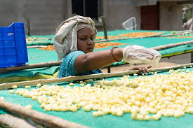 महुआ और वन सुपरफूड्स: क्या बजट दे सकता है नई पहचान?