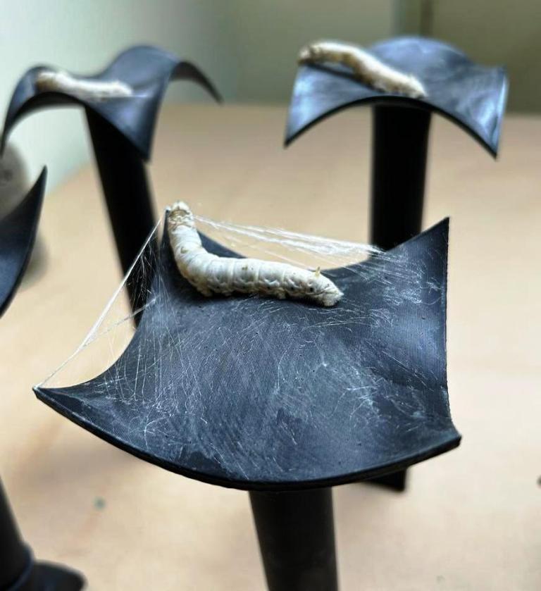 बिना कीट-हत्या के नैतिक रेशम तैयार की कोल इंडिया व आईआईटी बॉम्बे की ‘जीवोदय’ पहल ने