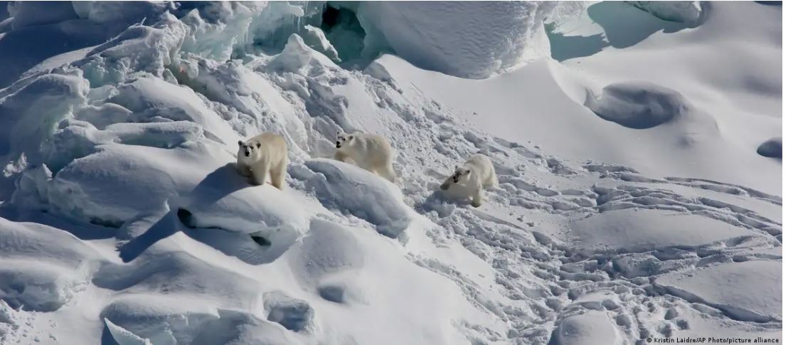 ग्रीनलैंड को लेकर राजनीतिक तनाव से खासे चिंतित हैं वैज्ञानिक