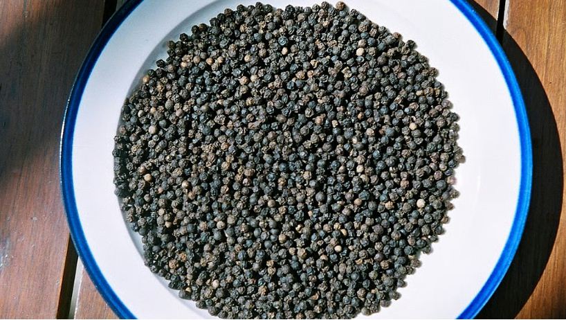 छत्तीसगढ़ की ‘काली मिर्च’ बन सकती है नई काली कमाई, किसानों की आमदनी बढ़ाने की नई कोशिश