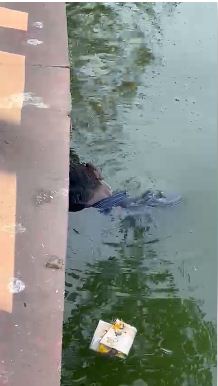 कंकाली तालाब से युवक की लाश बरामद, हत्या या आत्महत्या पुलिस जांच कर रही 