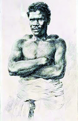 मानव बुद्धि की कोई जाति नहीं होती