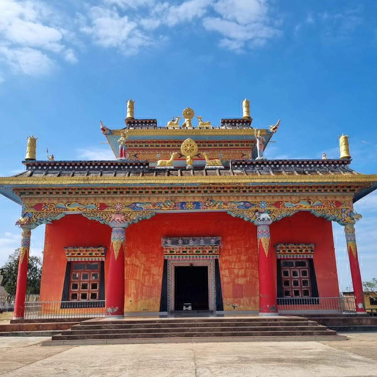 सीएम करेंगे मैनपाट महोत्सव का शुभारंभ