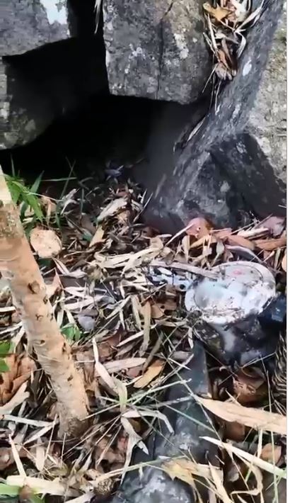 5-5 किलो के 2 प्रेशर बम बरामद