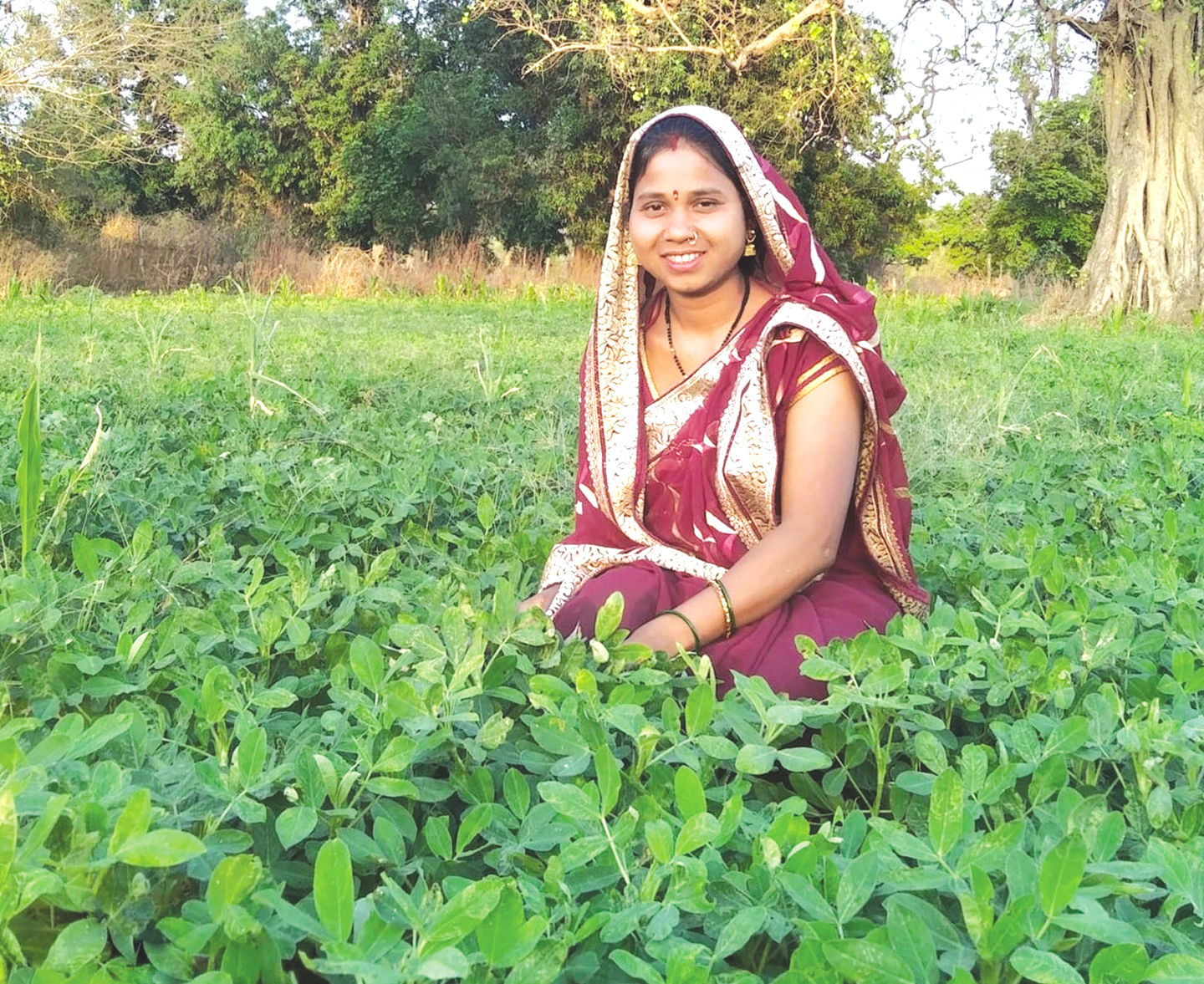 मोर जल मोर माटी से 9000+ किसानों को बालको ने जल प्रबंधन, आधुनिक खेती, पशुपालन और गैर-लकड़ी वन उत्पादों से जोड़ा
