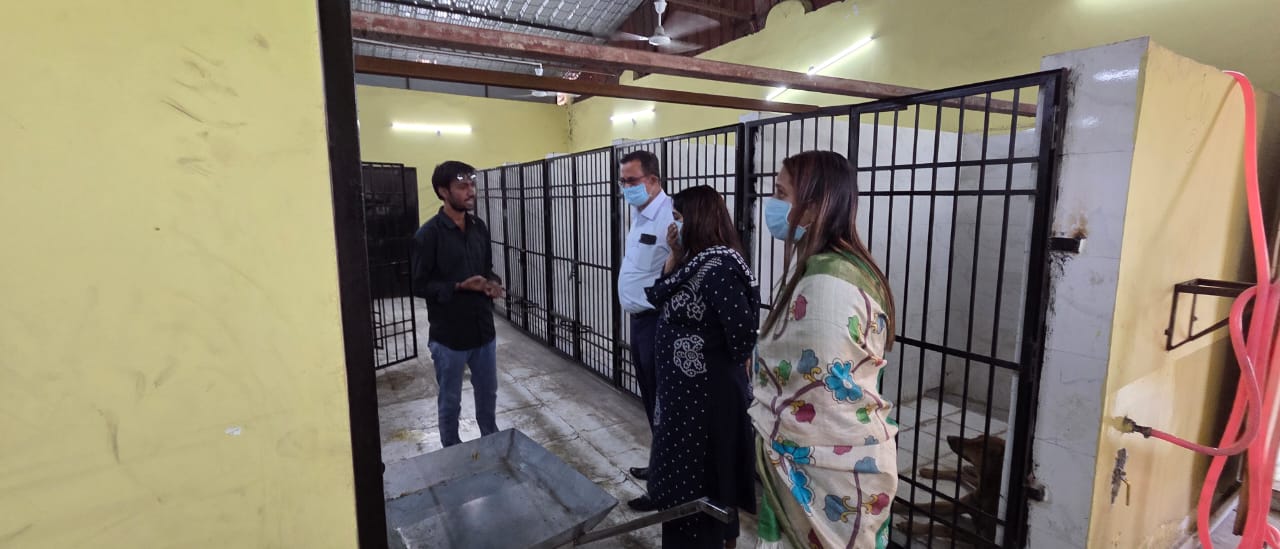 डाग बर्थ कंट्रोल सेंटर सोनडोंगरी कालीबाड़ी में रोज़ 30 की नसबंदी