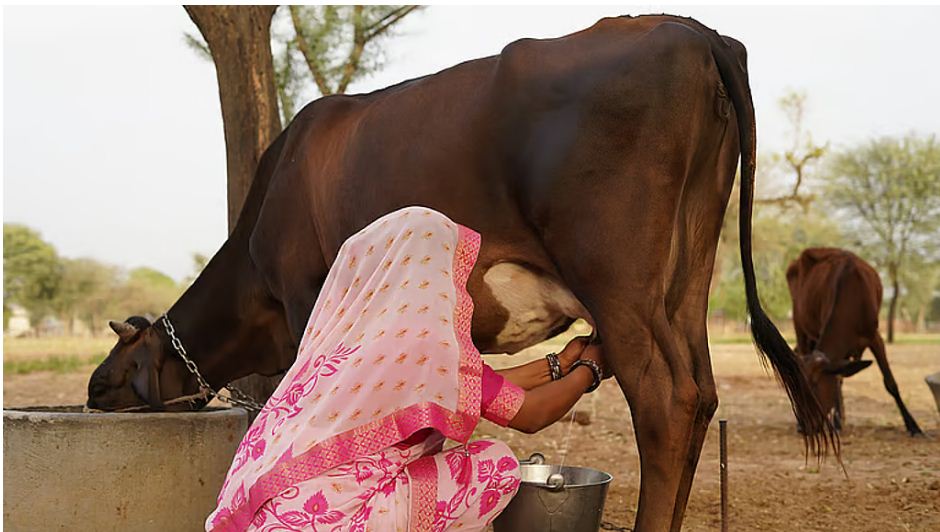 यह है भारत की असली ताकत