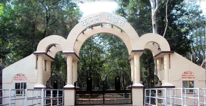 कानन पेंडारी जू की तीन दिन की जांच में मिली खामियां, डायरेक्टर नहीं, जर्जर पिंजरे और बिजली संकट