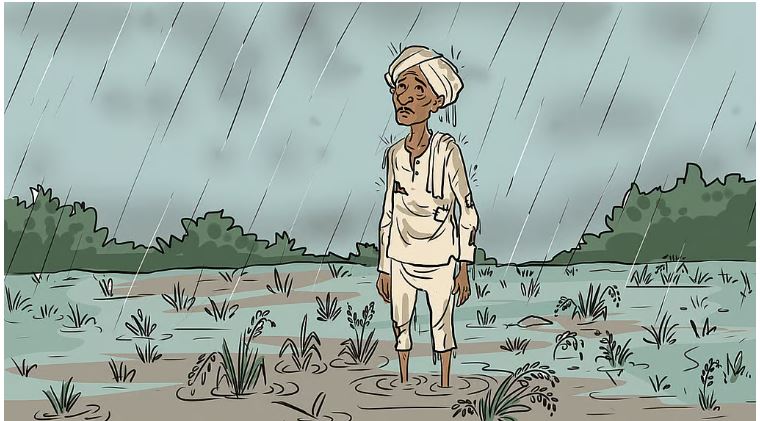 भारत में हर घंटे एक किसान की आत्महत्या: 2024 में मामूली कमी के बावजूद 10,546 किसान व खेतिहर मजदूरों ने दी जान