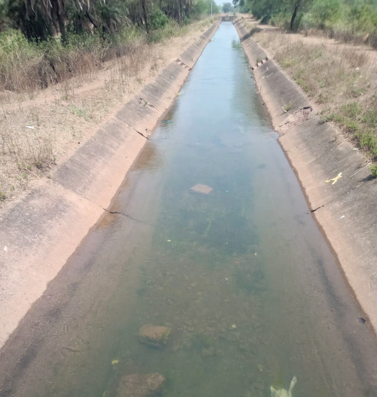 ग्रामीणों की मांग पर तांदुला से नहरों में छोड़ा गया पानी