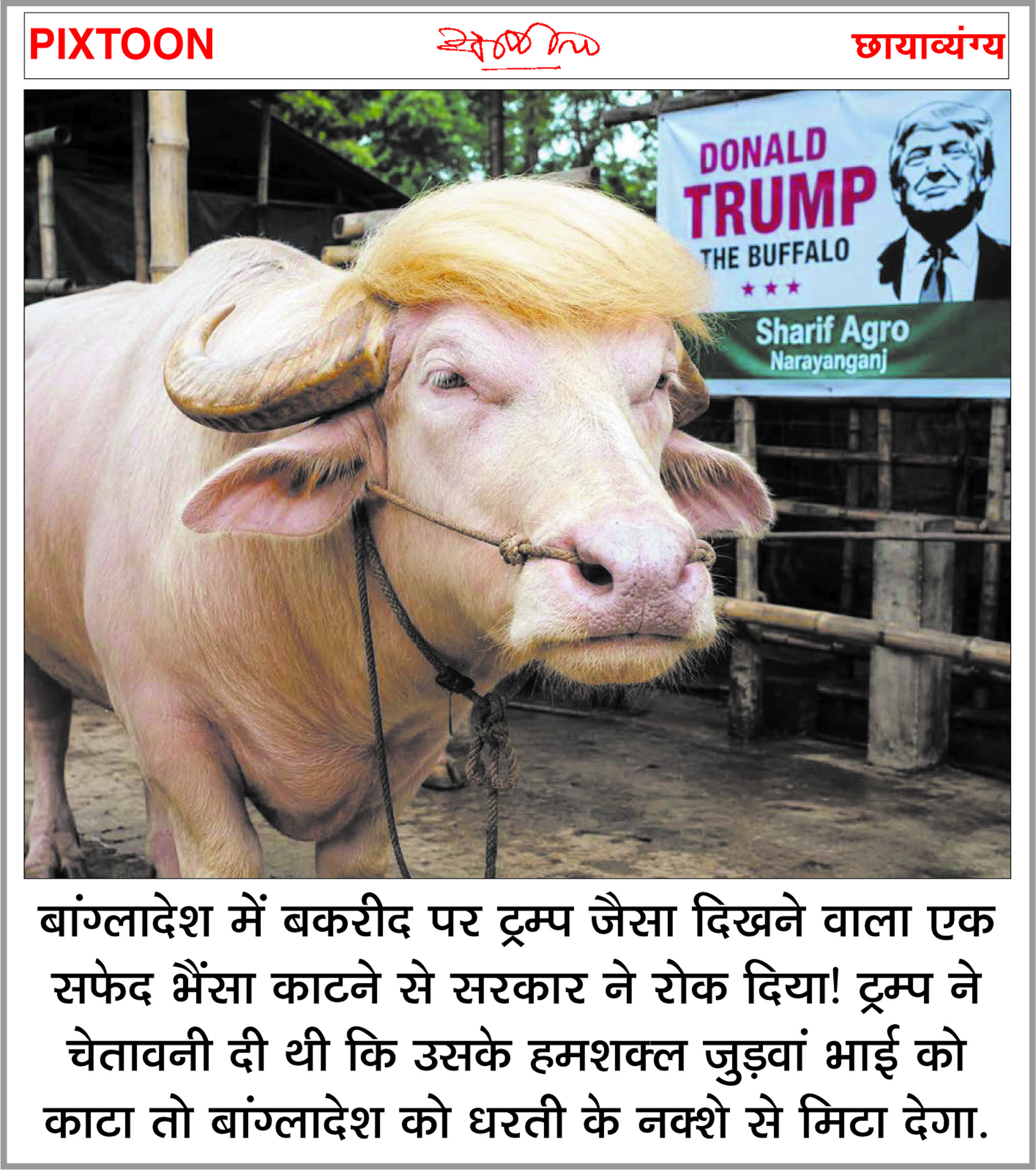 दैनिक 'छत्तीसगढ़' का पिक्सटून, 29 मई 2026