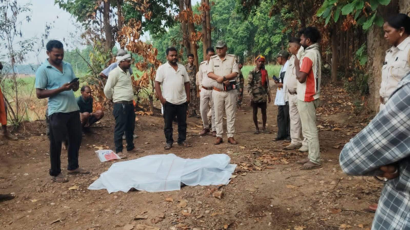 दंपति पर हाथी का हमला, कुचल मार डाला
