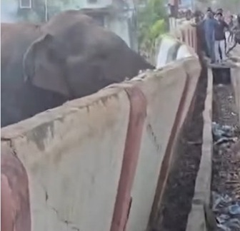 कटहल खाने हाथियों ने छात्रावास की दीवार ढहाई, फसलों और नर्सरी को भी पहुंचाया नुकसान