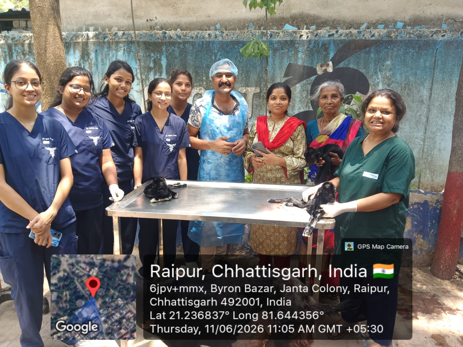 पशु चिकित्सालय में दुर्लभ सिजेरियन ऑपरेशन, तीन मेमनों का जन्म 