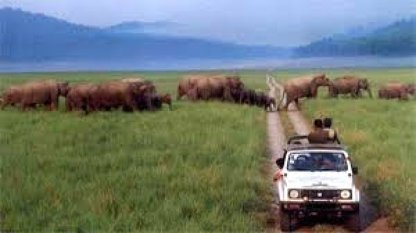 भारत के प्रमुख राष्टï्रीय उद्यान एवं अभयारण्य