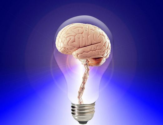 वैज्ञानिकों ने खोजा वो ब्रेन सेंसर, जिस कारण इंसान लंबे होते हैं