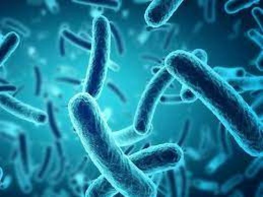  हर दिन हॉट सीट 12 नवंबर