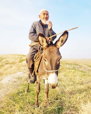 गधों के बारे में दुष्प्रचार, दुनिया जलती है