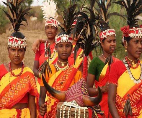 होशंगाबाद जिले के आदिवासी