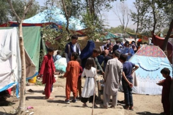 इस साल 10 लाख से अधिक अफगान ईरान और पाक से लौटे : आईओएम