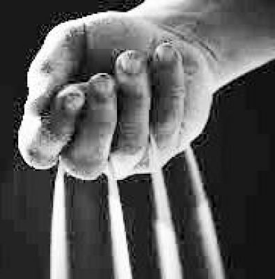 किसान आंदोलन: बीज विधेयक का विरोध क्यों