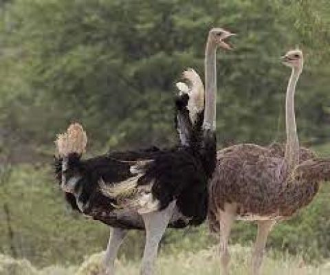 हर दिन हॉट सीट-14 दिसंबर