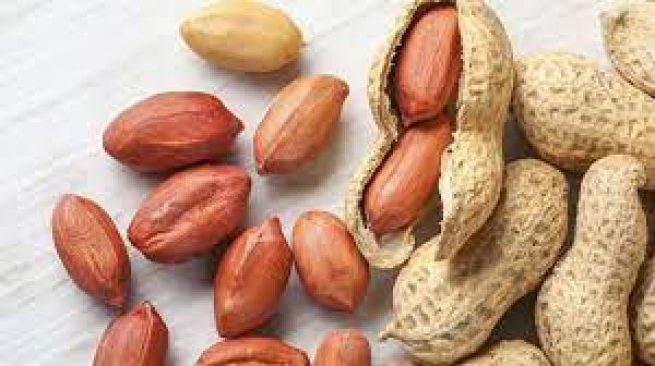 हर दिन हॉट सीट 27 दिसंबर