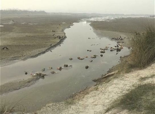 ‘छत्तीसगढ़’ का संपादकीय : यूपी, भगवान भरोसे हिन्दू होटल, जहाँ पकाने-खिलाने को कुछ नहीं !!