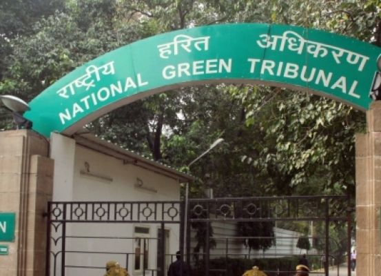 एनजीटी ने 2021 में वीडियो कांफ्रेंसिंग के जरिए 2,288 मामलों का निपटारा किया