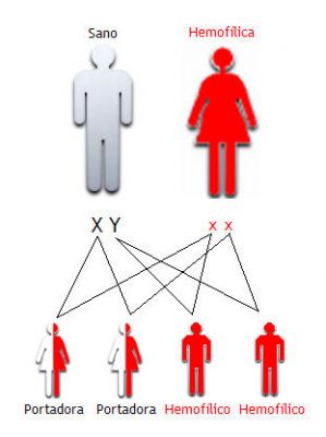 क्या है हीमोफीलिया