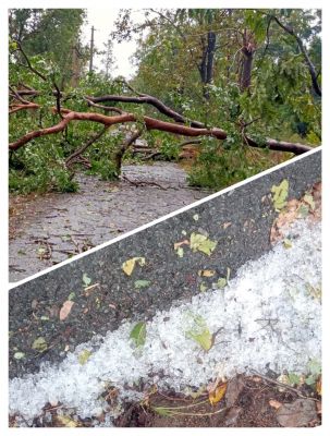 आंधी-तूफान से पेड़-खंभे गिरे, सडक़ मार्ग बाधित